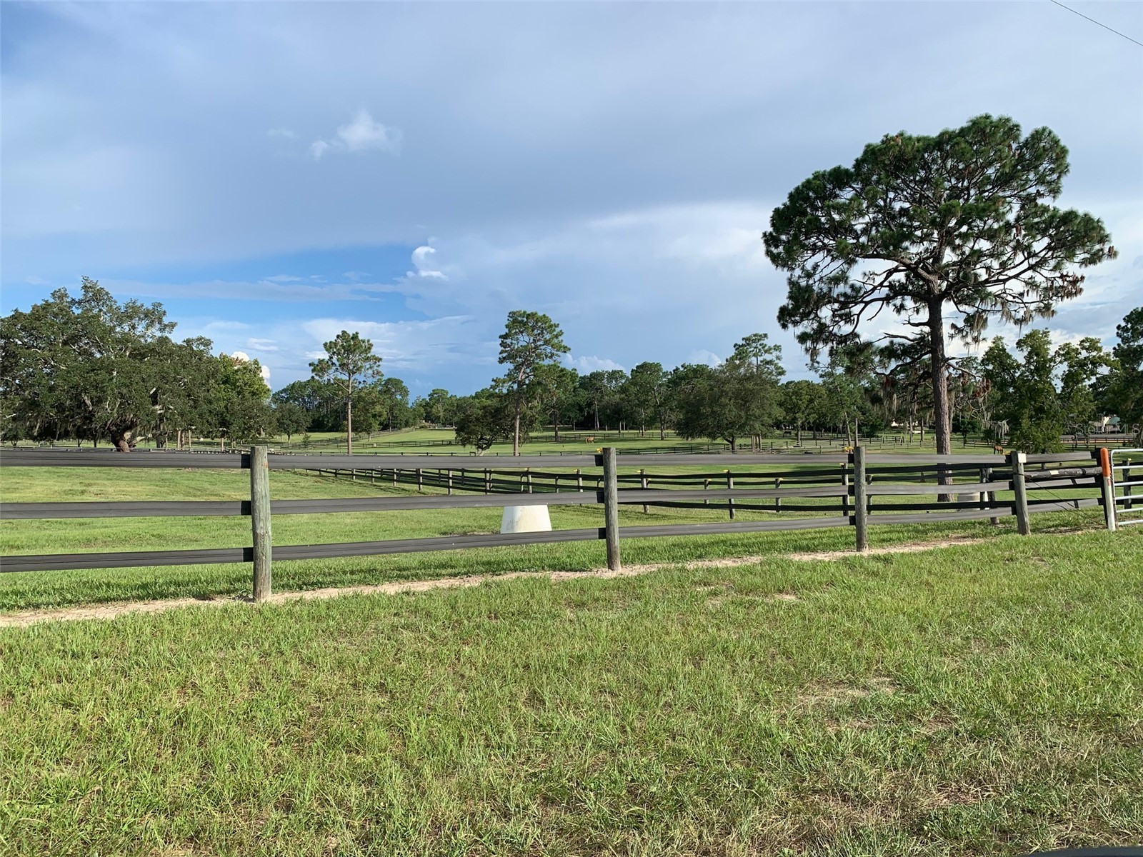 6125 N Canyon Drive Beverly Hills FL 34465 OM718318 image7