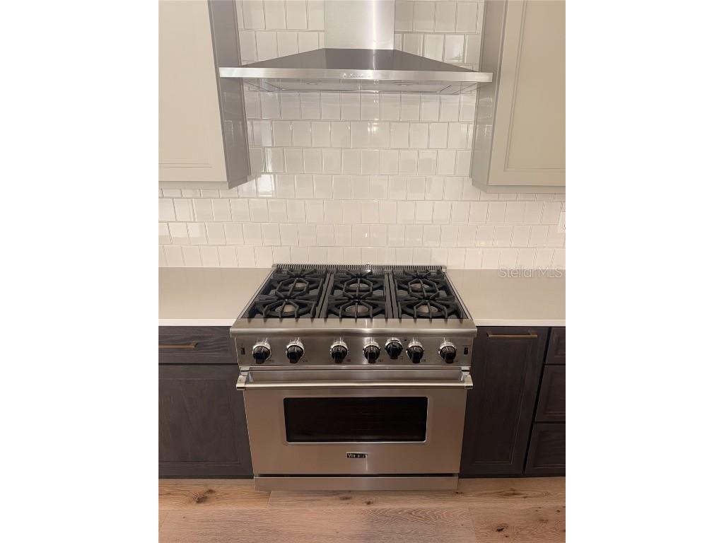 6125 Village Edge Place Sanford FL 32771 O6308484 image39