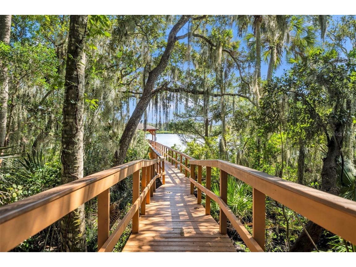 6126 Sequoia Drive N Port Orange FL 32127 - Spruce Creek O6348951 image29