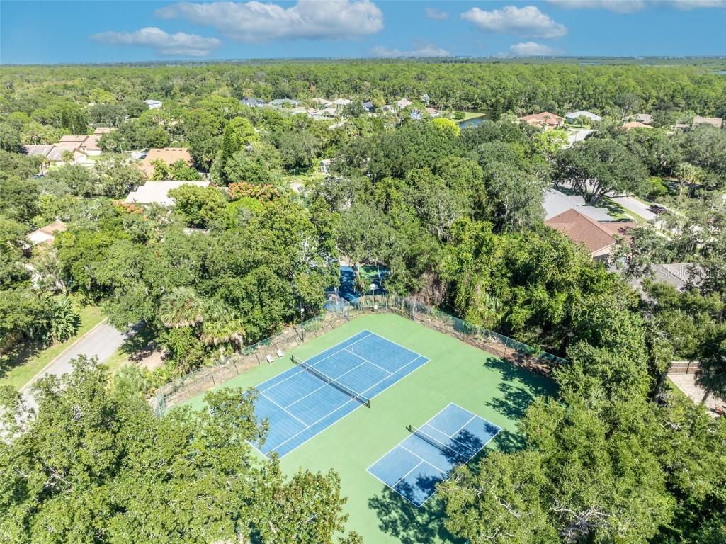 6126 Sequoia Drive N Port Orange FL 32127 - Spruce Creek O6348951 image35