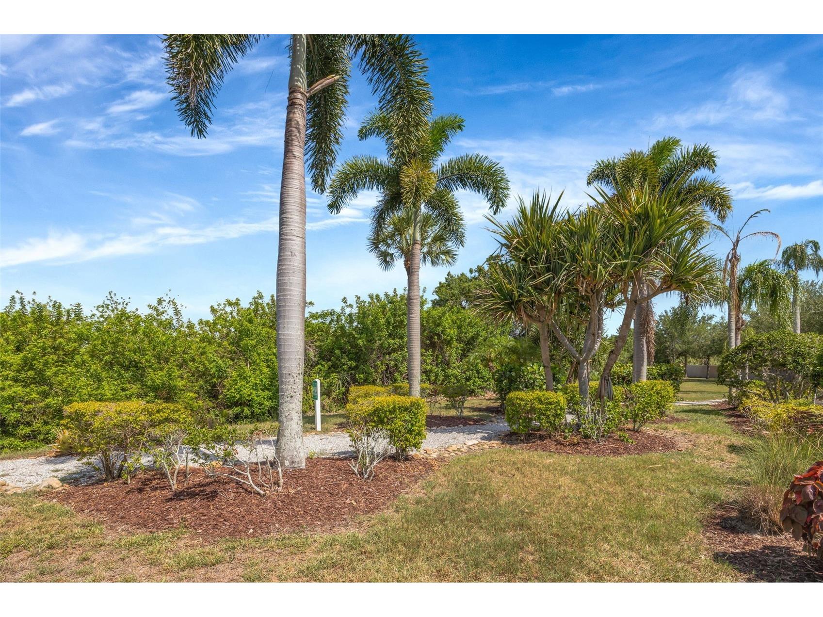 6127 Bayside Key Drive Tampa FL 33615 TB8523919 image49