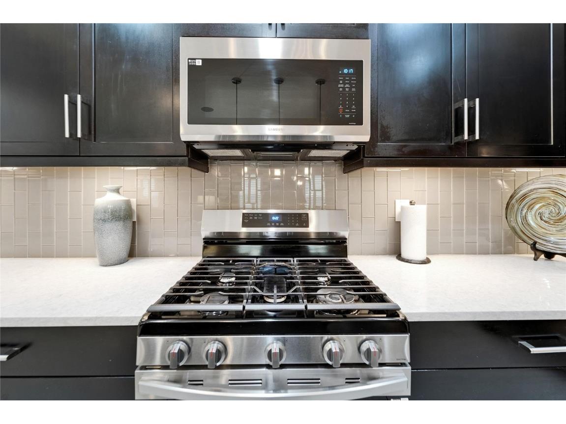 6127 Colmar Place Apollo Beach FL 33572 TB8393000 image42