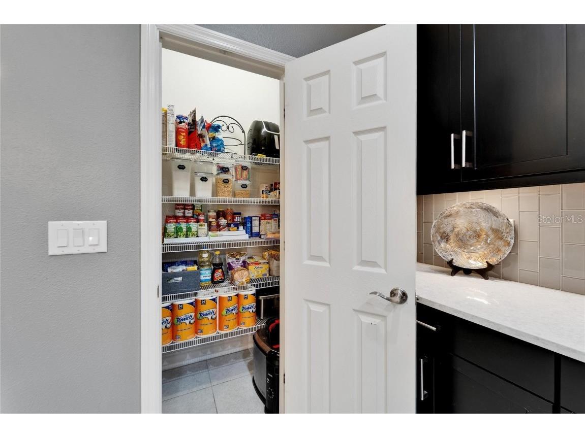 6127 Colmar Place Apollo Beach FL 33572 TB8393000 image44