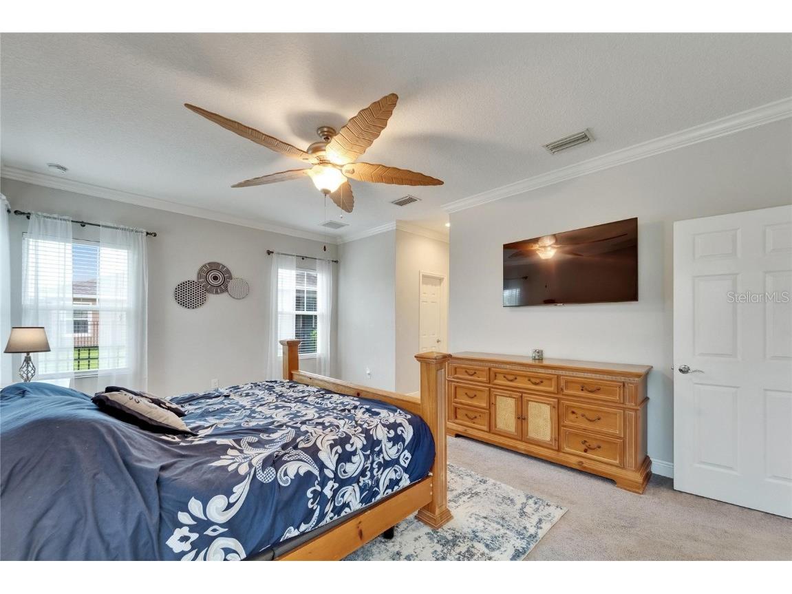 6127 Colmar Place Apollo Beach FL 33572 TB8393000 image46