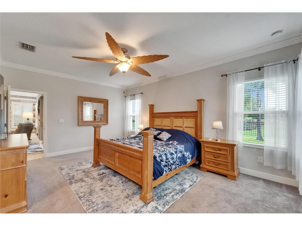 6127 Colmar Place Apollo Beach FL 33572 TB8393000 image47