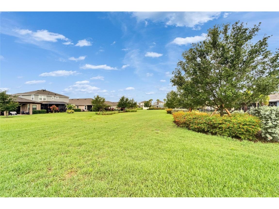 6127 Colmar Place Apollo Beach FL 33572 TB8393000 image58