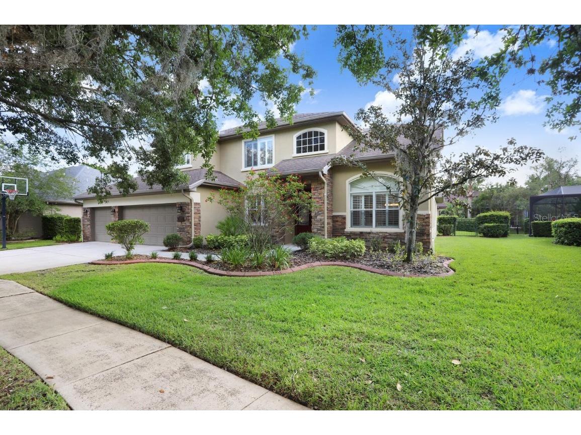 6128 Ibispark Drive Lithia FL 33547 T3438683 image1