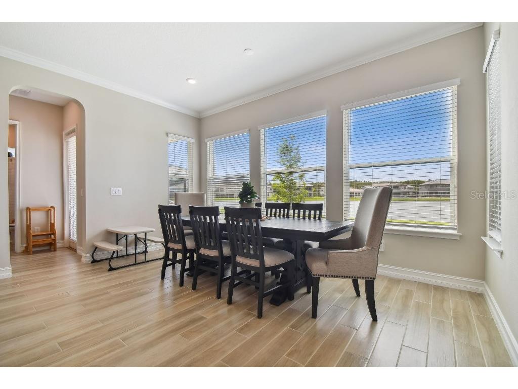 6129 Marsh Trail Drive Odessa FL 33556 TB8504052 image12