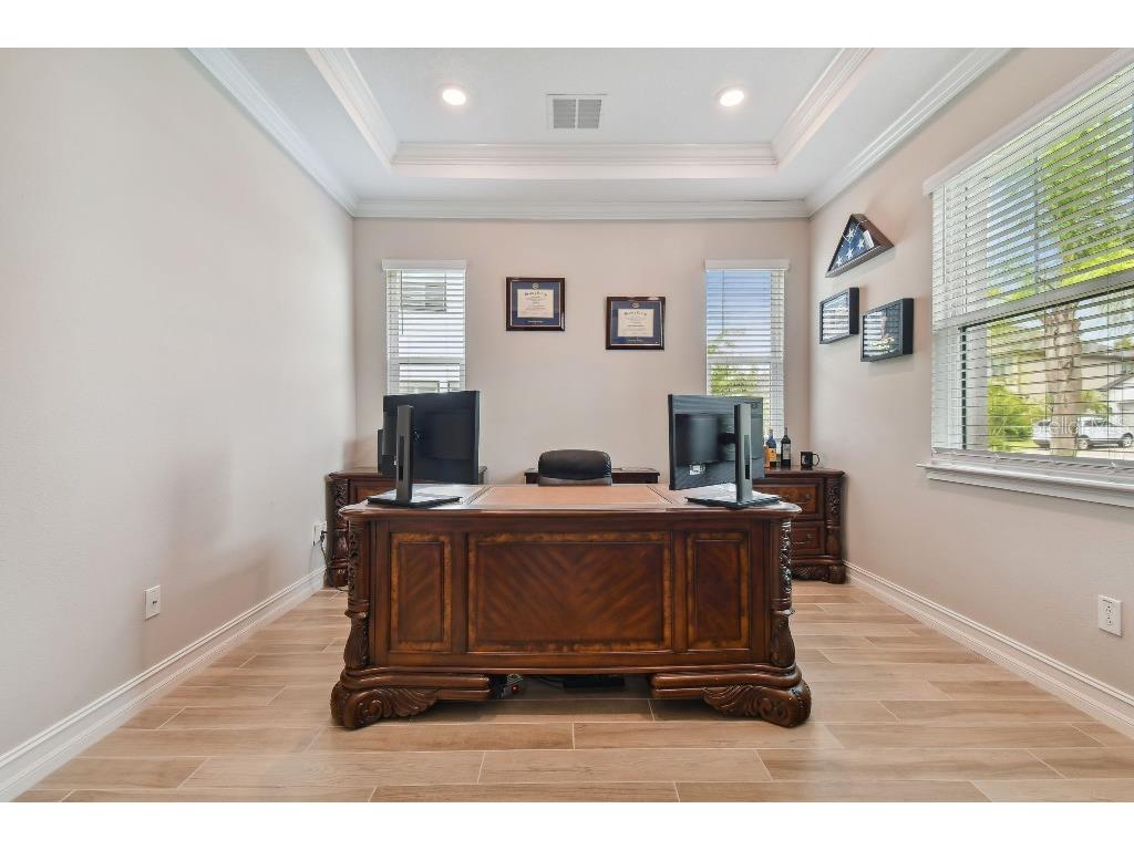 6129 Marsh Trail Drive Odessa FL 33556 TB8504052 image16