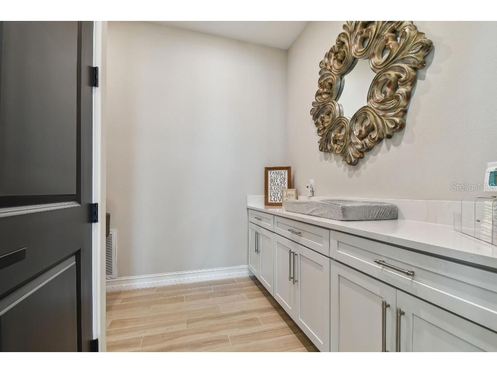 6129 Marsh Trail Drive Odessa FL 33556 TB8504052 image17