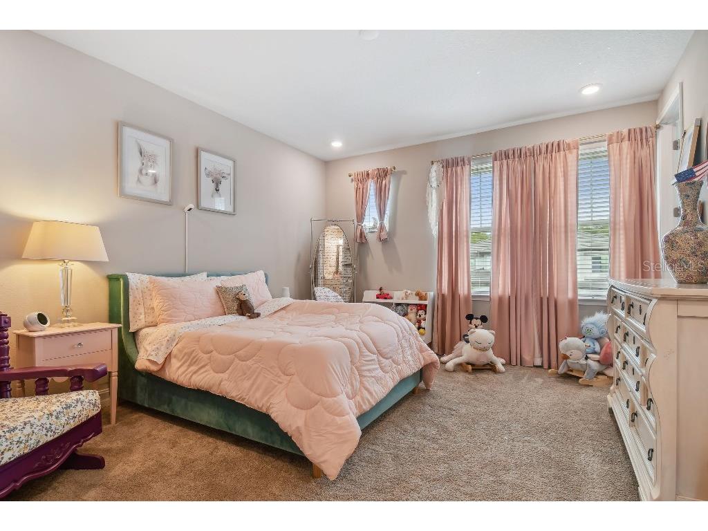 6129 Marsh Trail Drive Odessa FL 33556 TB8504052 image34
