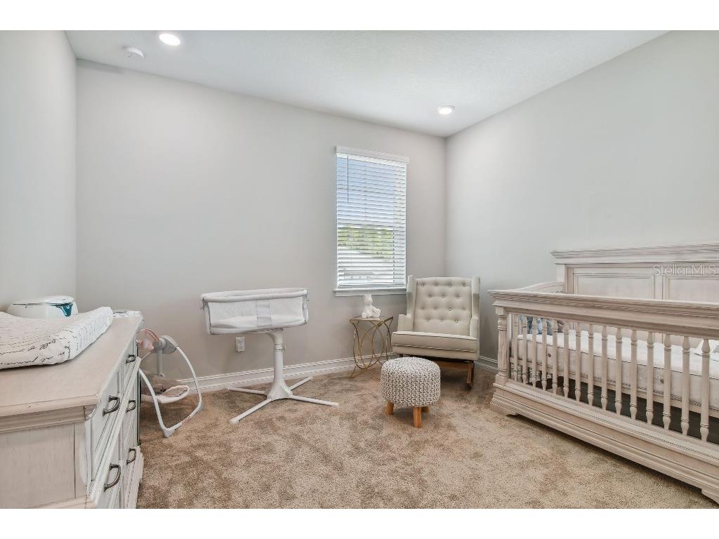 6129 Marsh Trail Drive Odessa FL 33556 TB8504052 image37