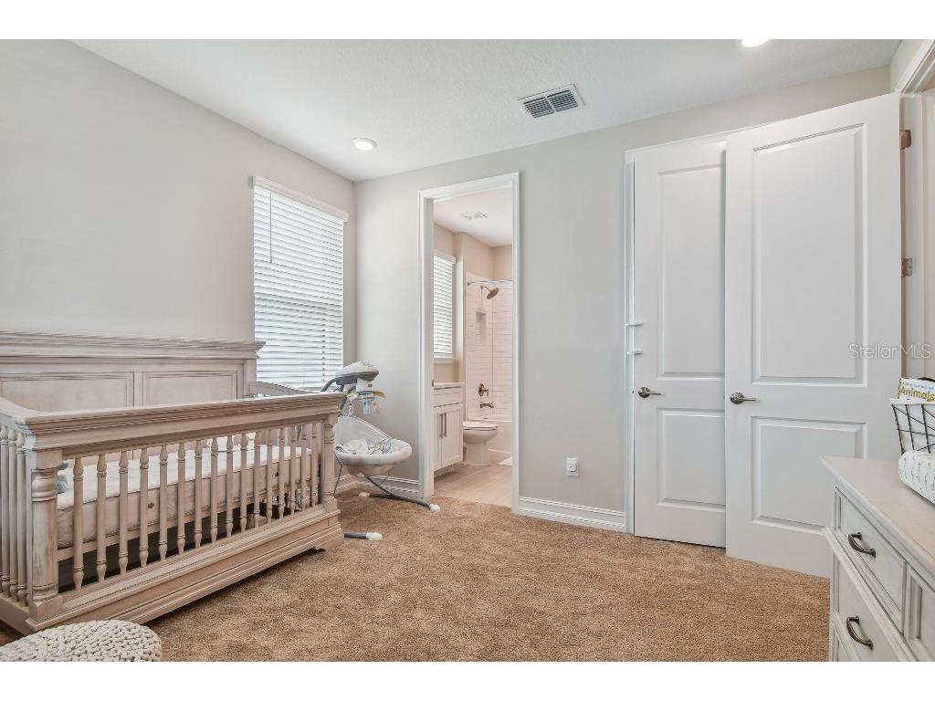 6129 Marsh Trail Drive Odessa FL 33556 TB8504052 image38