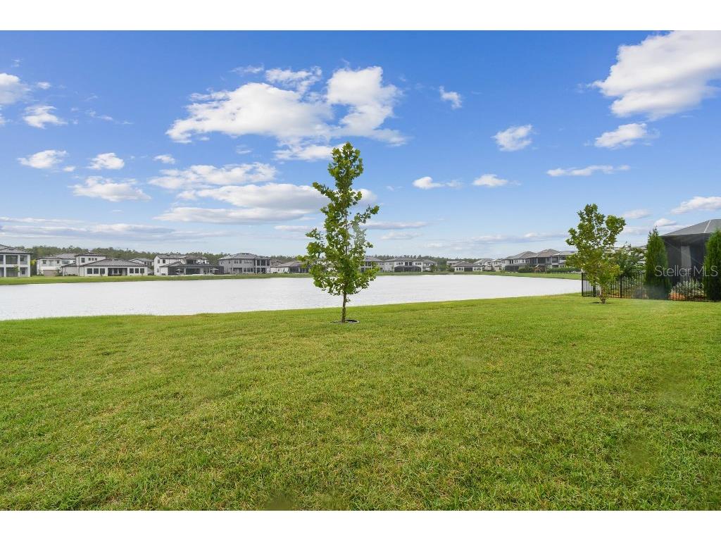 6129 Marsh Trail Drive Odessa FL 33556 TB8504052 image39