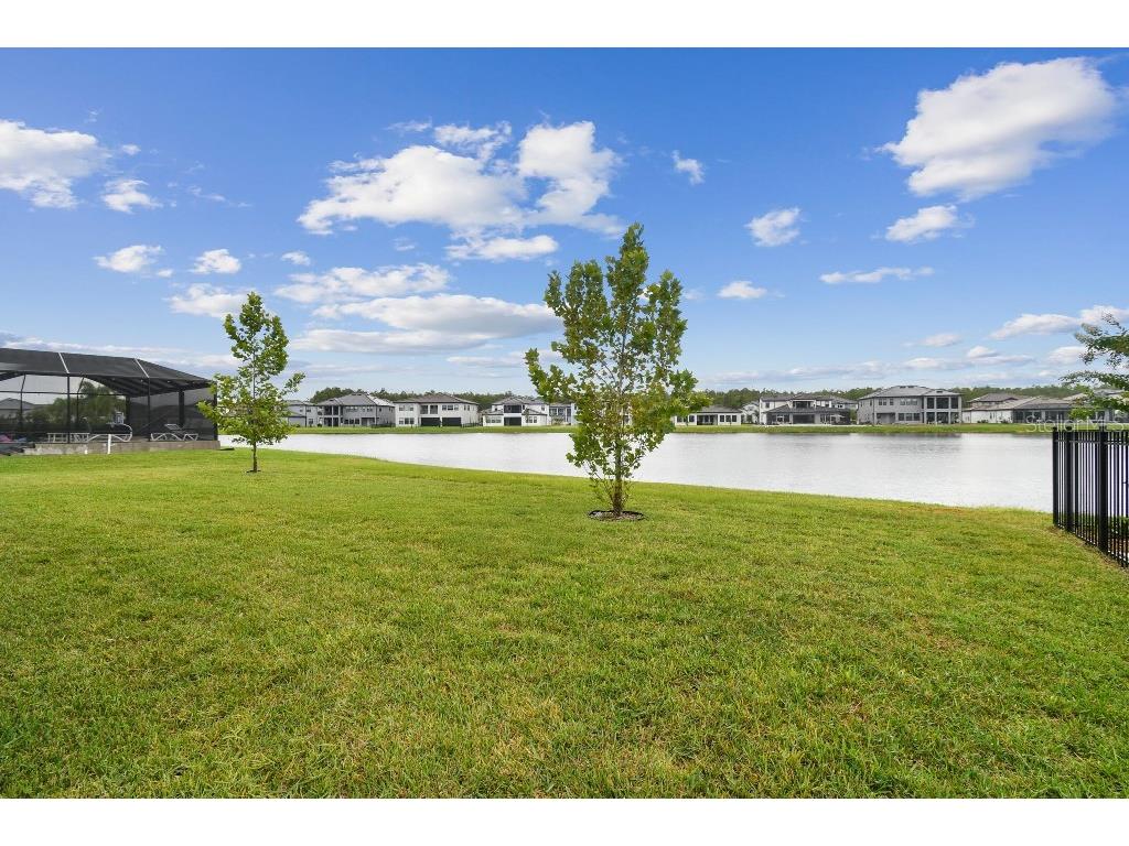 6129 Marsh Trail Drive Odessa FL 33556 TB8504052 image40