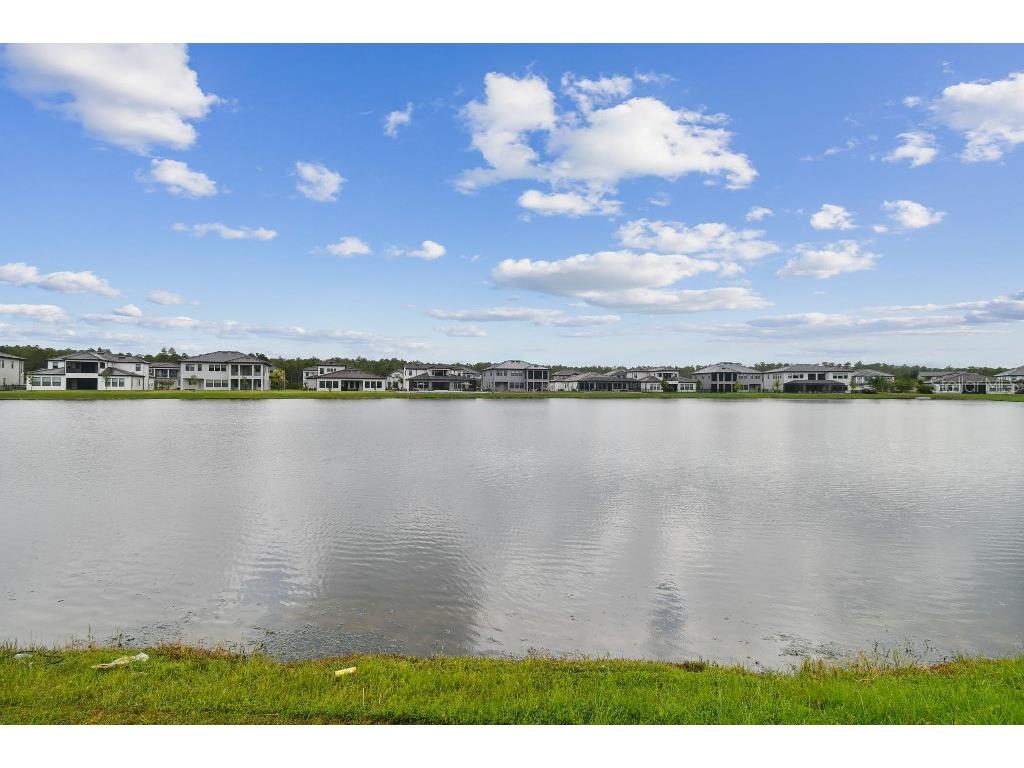 6129 Marsh Trail Drive Odessa FL 33556 TB8504052 image42