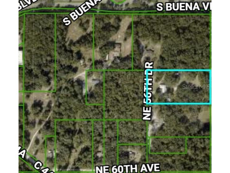 6129 NE 56th Drive Wildwood FL 34785 O6114496 image1
