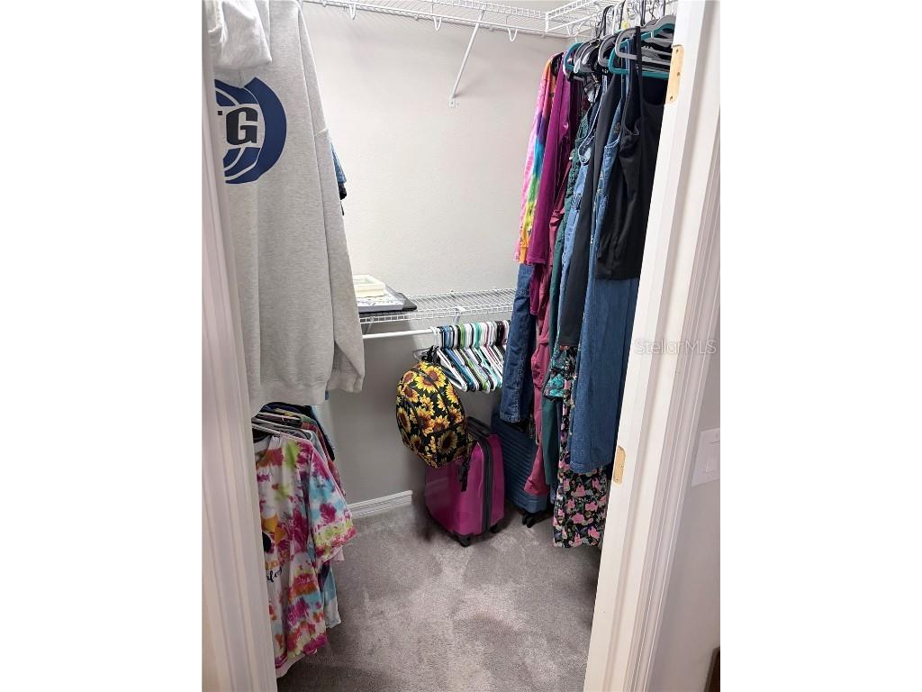 6129 Willowside St Palmetto FL 34221 A4675553 image25