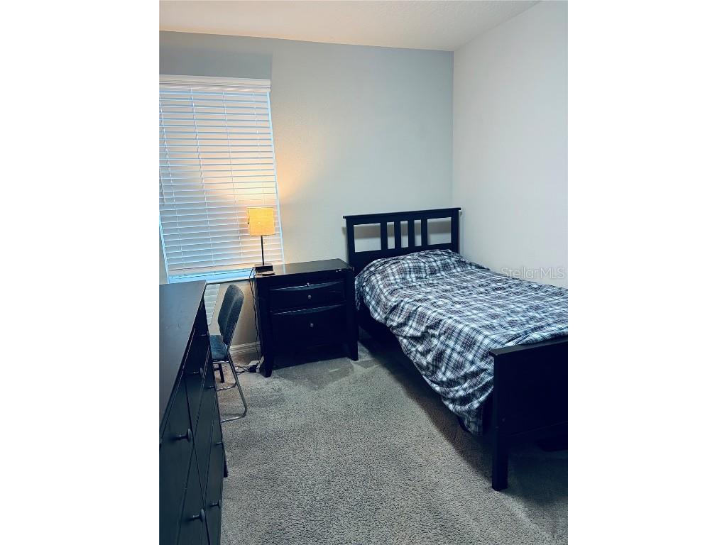 6129 Willowside St Palmetto FL 34221 A4675553 image29