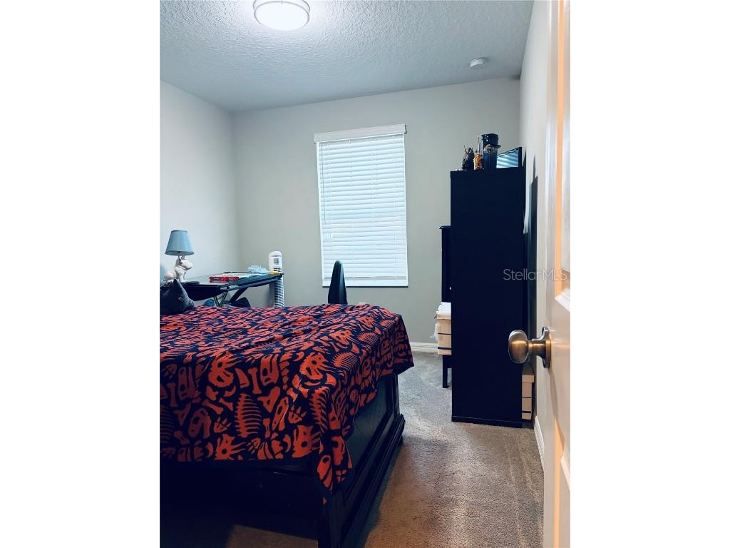 6129 Willowside St Palmetto FL 34221 A4675553 image31