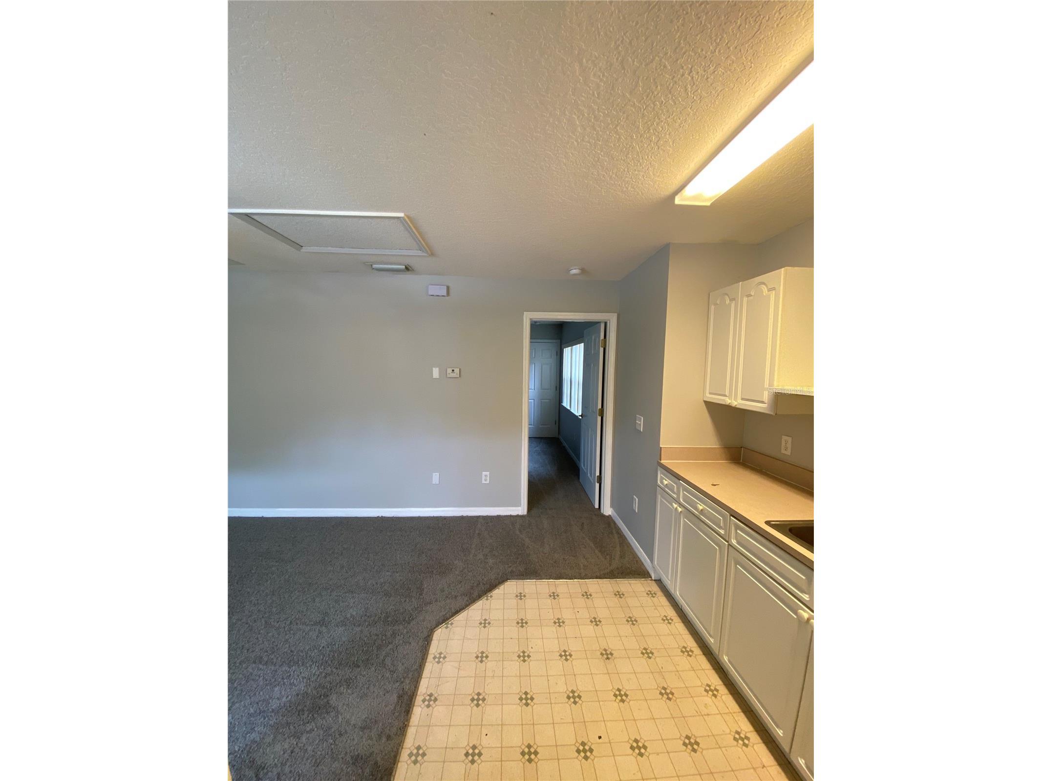 613 Coconut Palm Way #613 Davenport FL 33897 O6405935 image2
