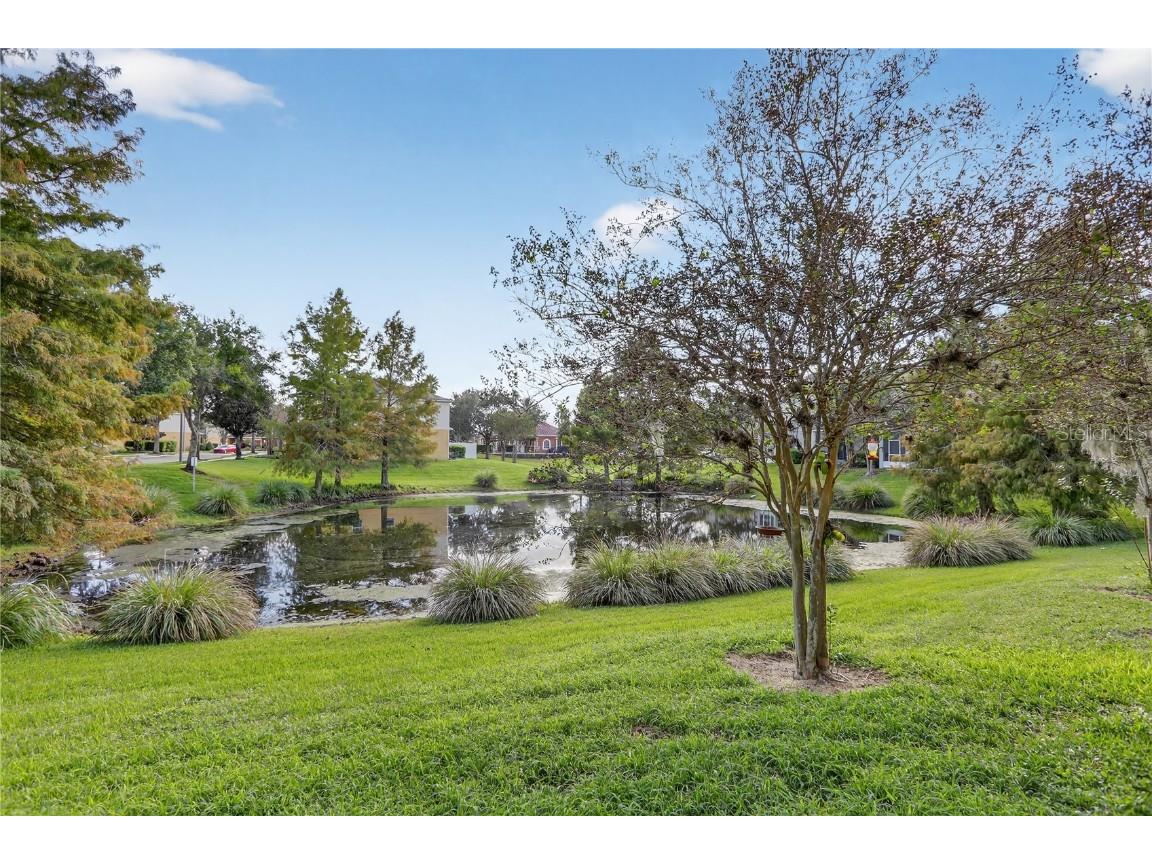 613 Fortanini Circle Ocoee FL 34761 O6346242 image21