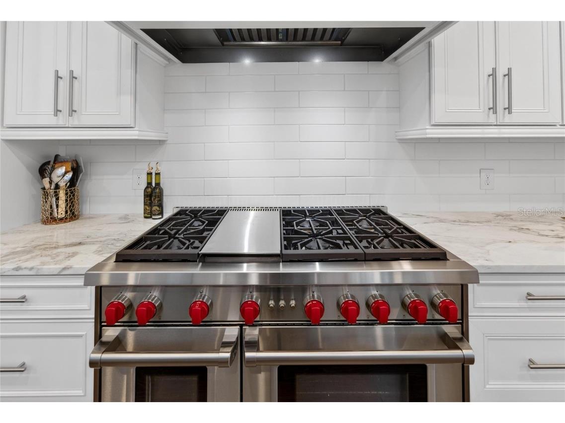 613 Mirabay Boulevard Apollo Beach FL 33572 TB8460601 image22