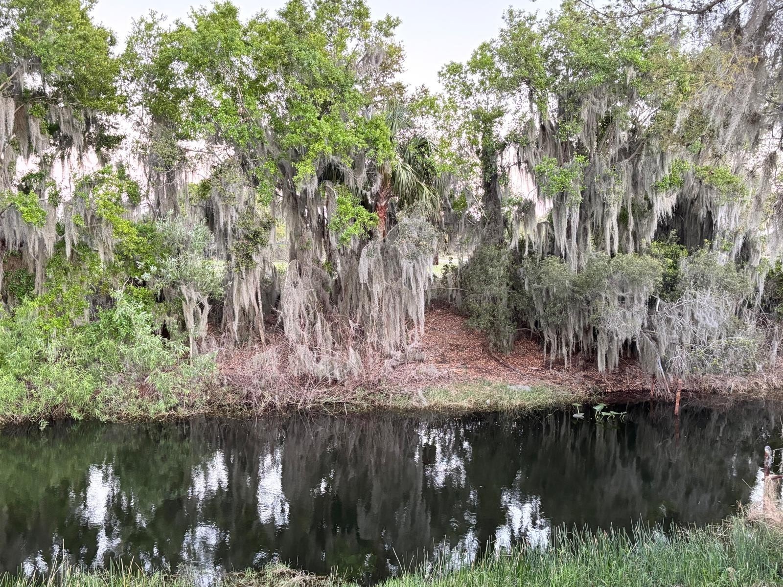 613 S Willow Avenue Avon Park FL 33825 TB8486863 image50