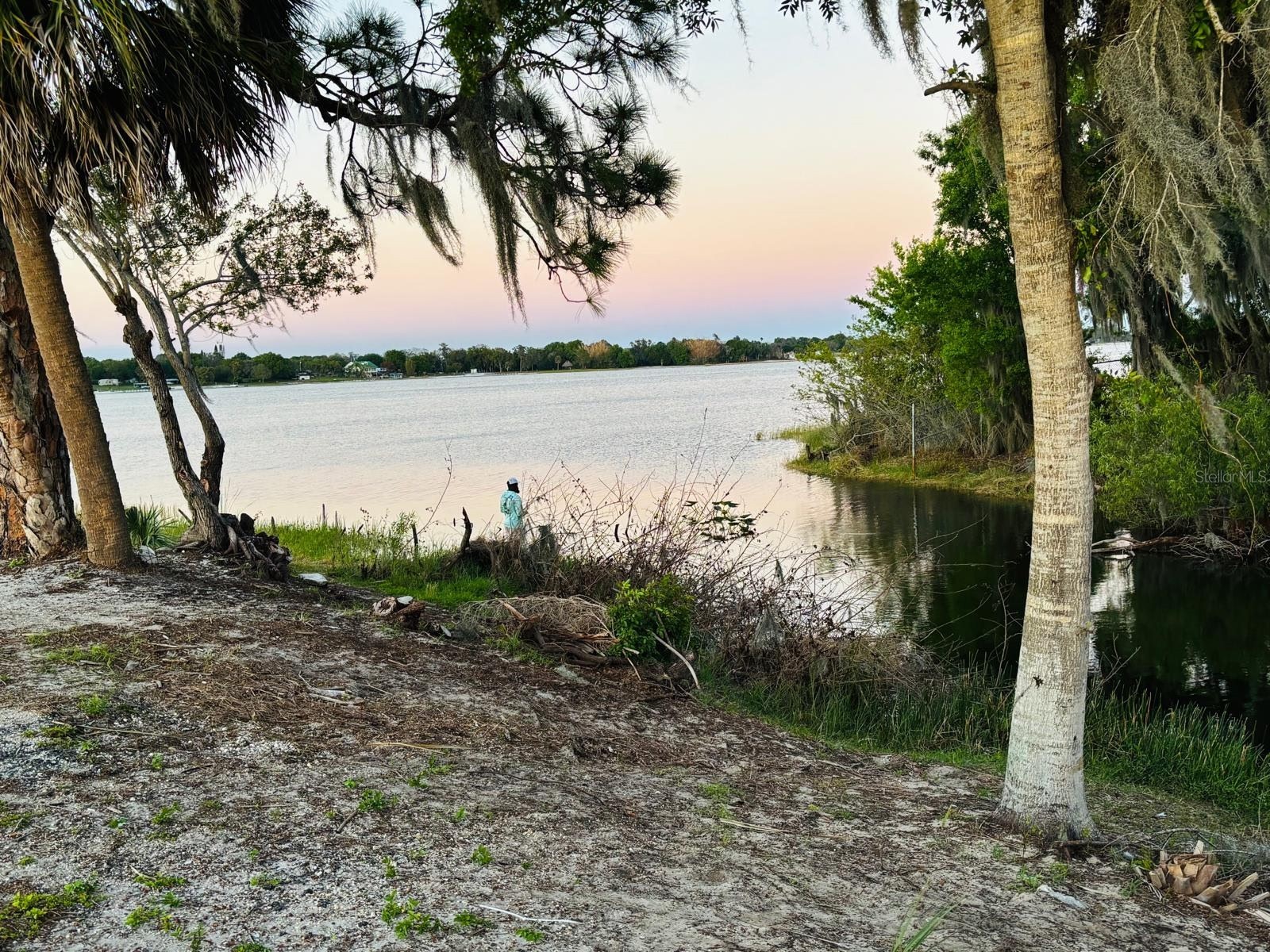 613 S Willow Avenue Avon Park FL 33825 TB8486863 image51