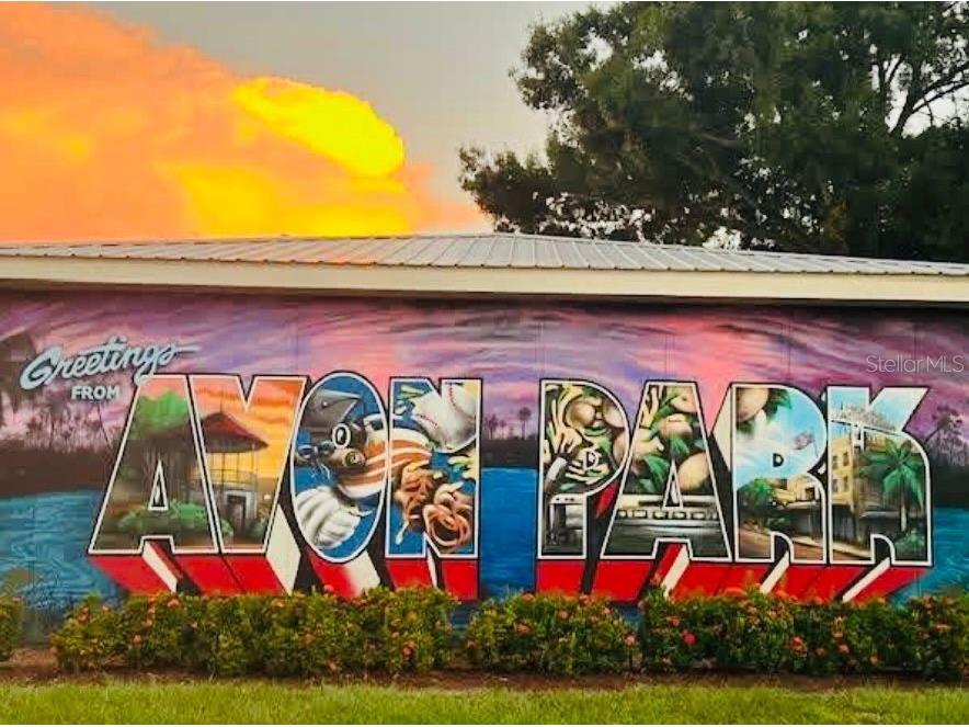 613 S Willow Avenue Avon Park FL 33825 TB8486863 image52