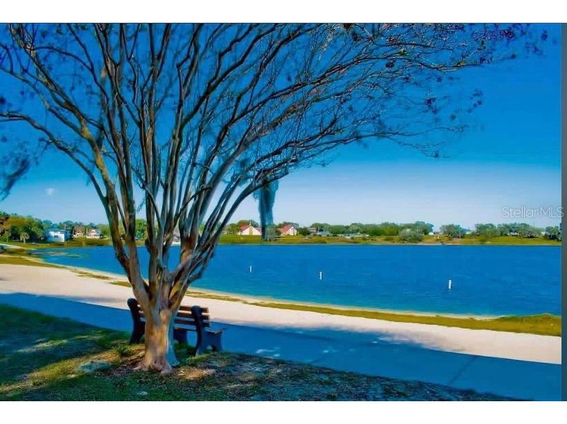 613 S Willow Avenue Avon Park FL 33825 TB8486863 image55