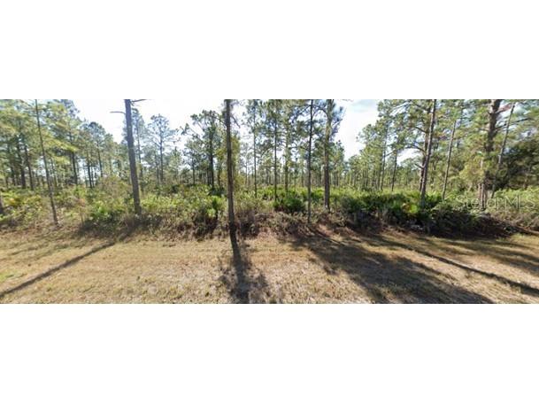 613 Tropicana Drive Indian Lake Estates FL 33855 S5083000 image1