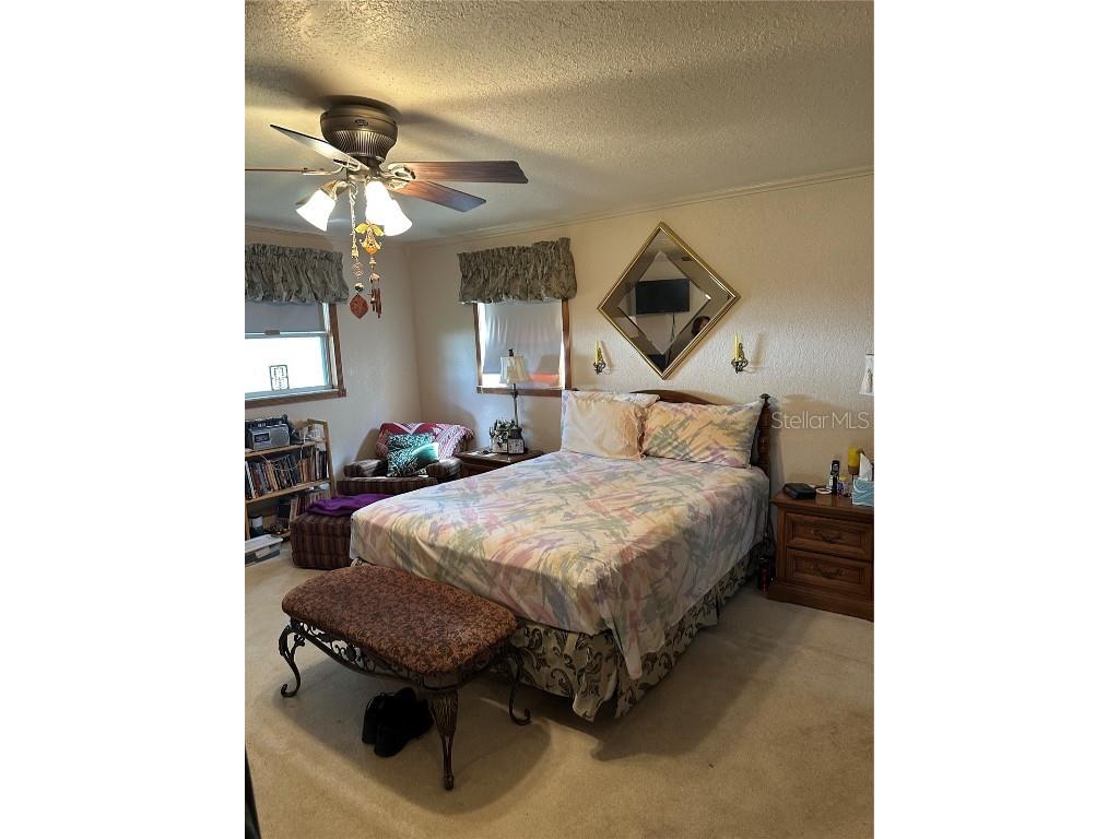 6130 17th Street Zephyrhills FL 33542 TB8440976 image19