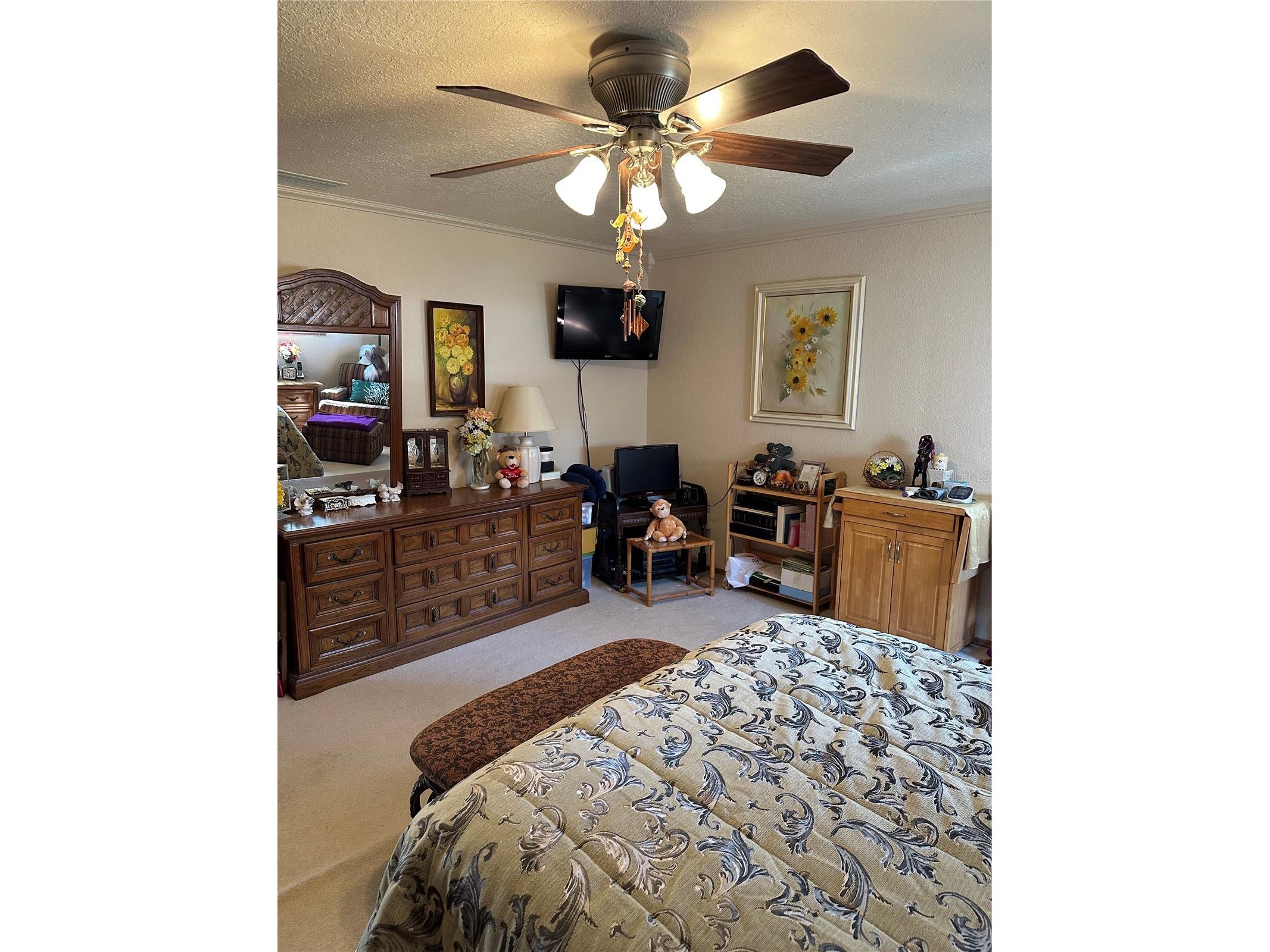 6130 17th Street Zephyrhills FL 33542 TB8440976 image26