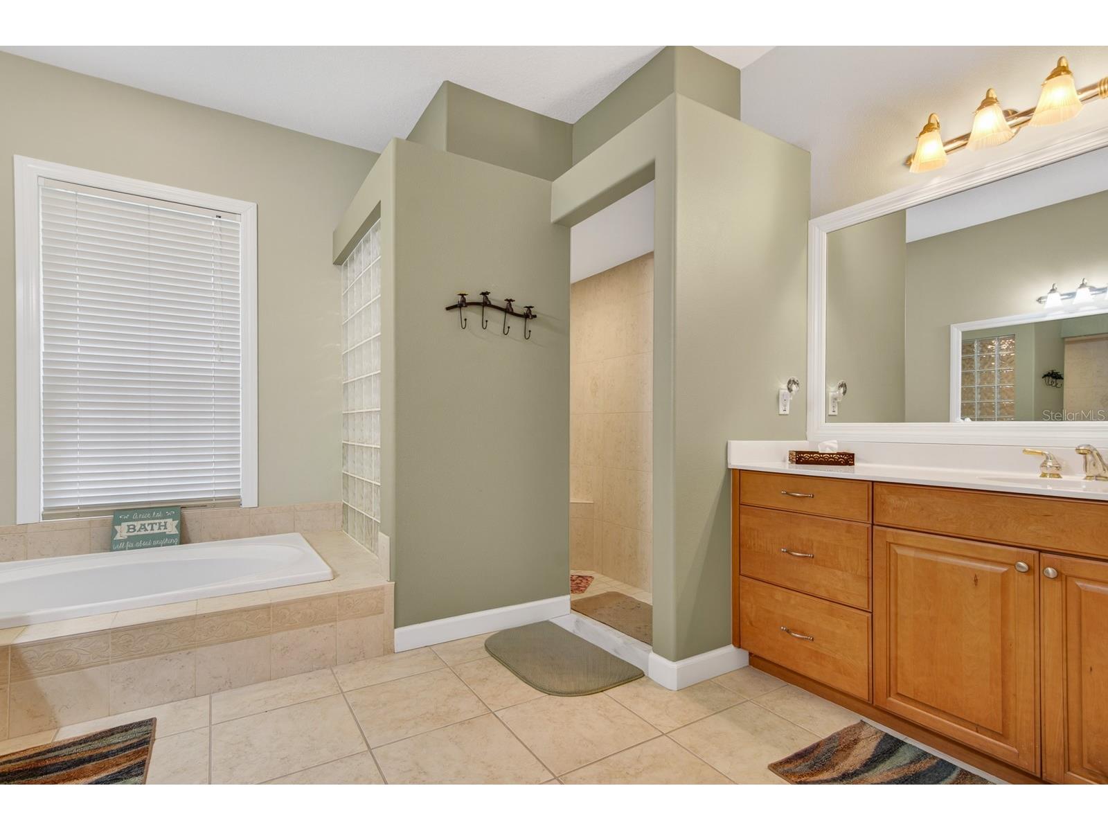 6130 Bridleford Drive Wesley Chapel FL 33545 TB8518478 image34