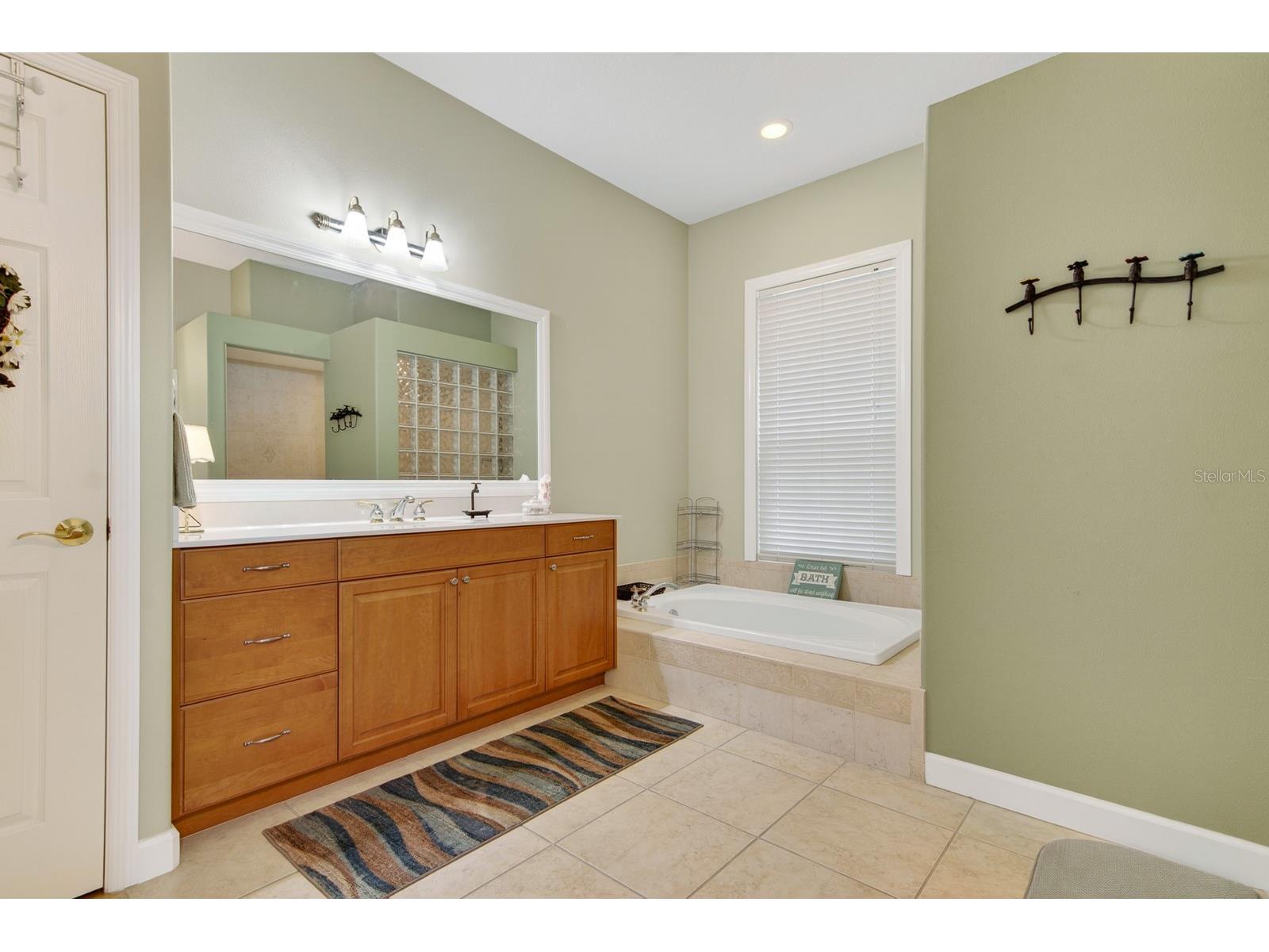 6130 Bridleford Drive Wesley Chapel FL 33545 TB8518478 image35