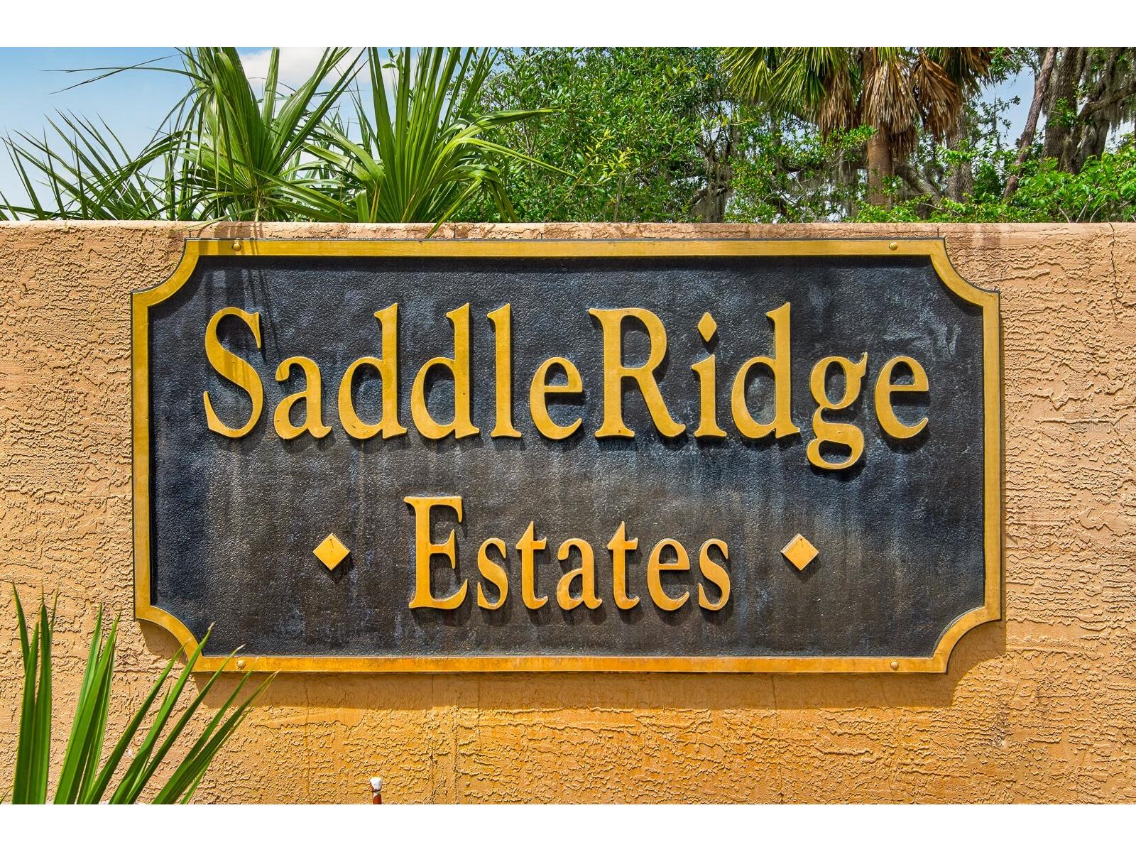 6130 Bridleford Drive Wesley Chapel FL 33545 TB8518478 image65