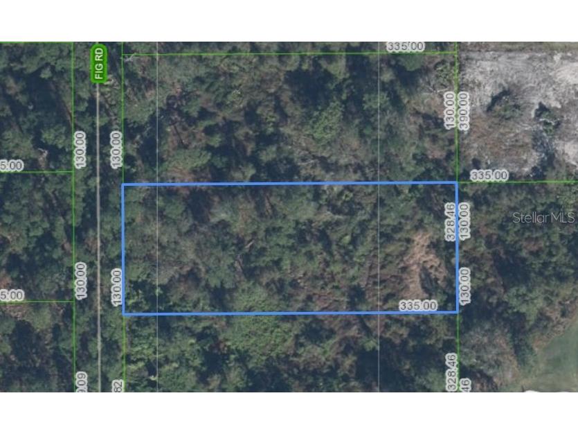 6130 Fig Road Sebring FL 33875 P4936749 image1