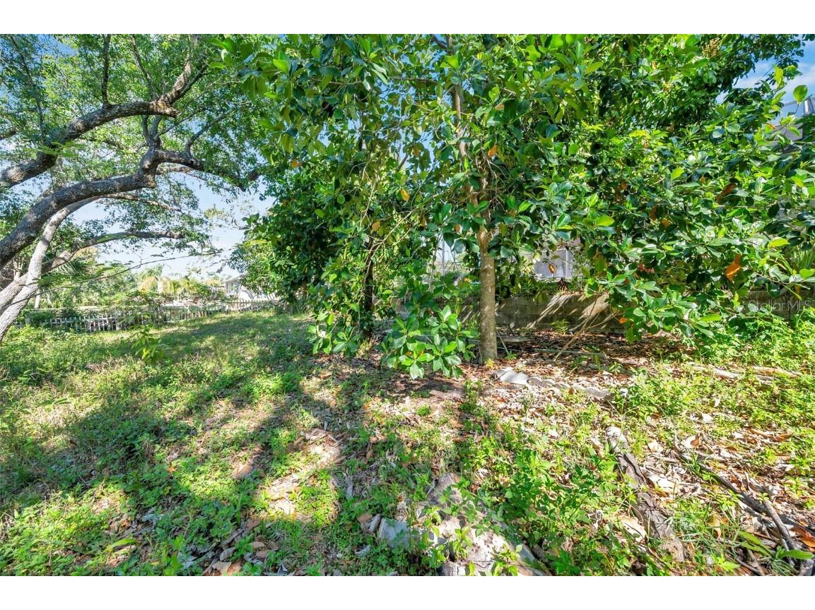 6130 Japonica Court New Port Richey FL 34655 TB8375519 image42