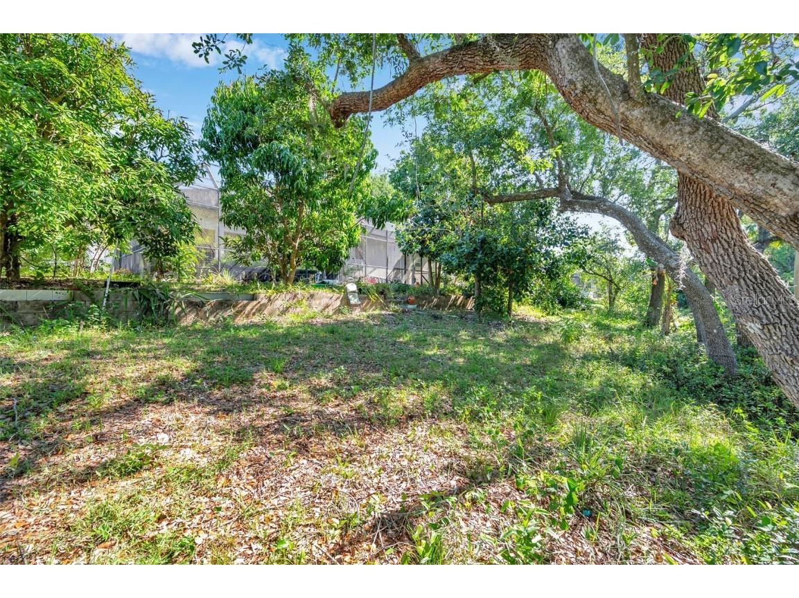 6130 Japonica Court New Port Richey FL 34655 TB8375519 image43