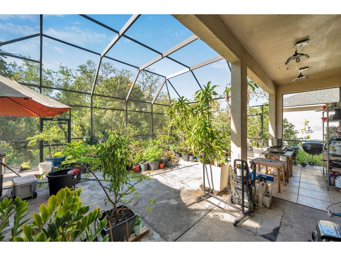 6130 Japonica Court New Port Richey FL 34655 TB8375519 image51