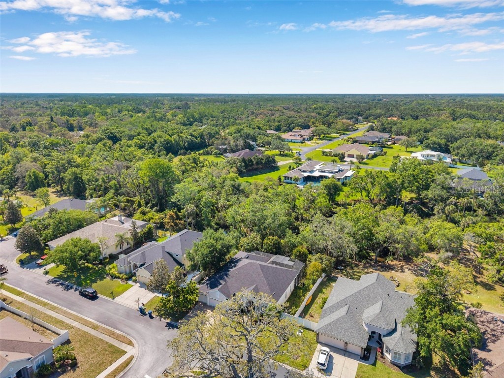 6130 Japonica Court New Port Richey FL 34655 TB8375519 image53