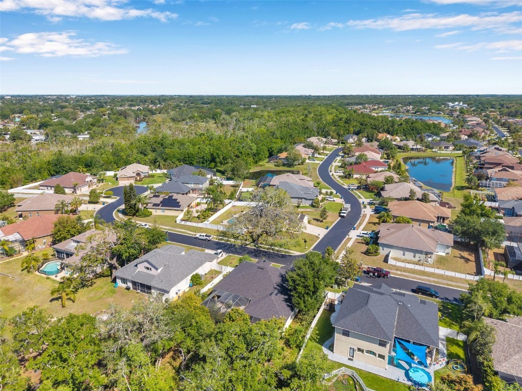 6130 Japonica Court New Port Richey FL 34655 TB8375519 image55