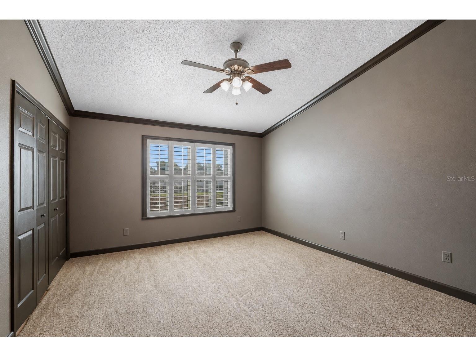 6130 Osprey Lake Circle Riverview FL 33578 TB8521796 image18