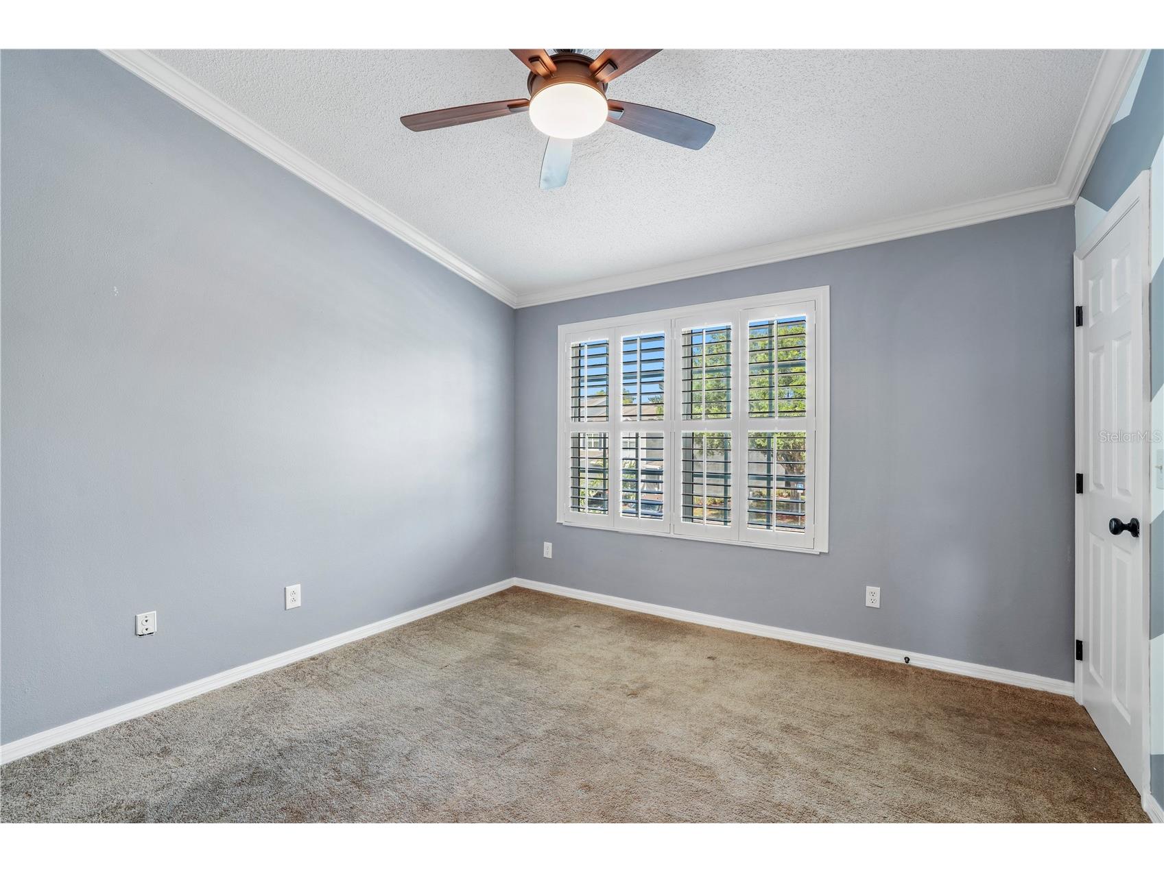 6130 Osprey Lake Circle Riverview FL 33578 TB8521796 image22
