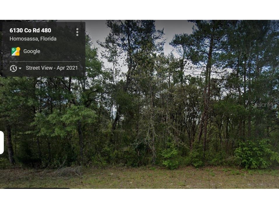 6130 W Oak Park Boulevard Homosassa FL 34446 O6000266 image1
