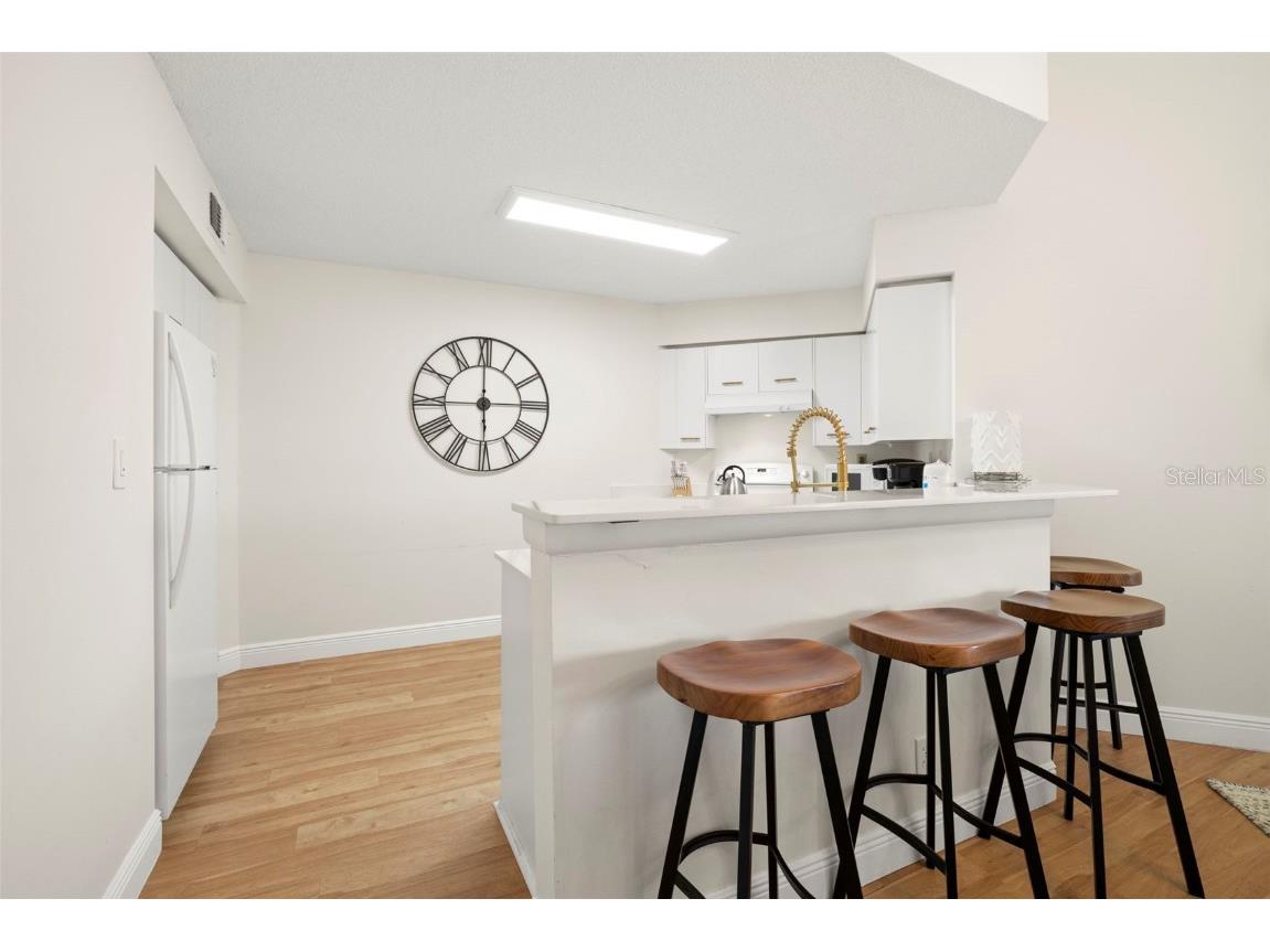 6131 Bahia Del Mar Blvd #240 Saint Petersburg FL 33715 TB8369520 image23