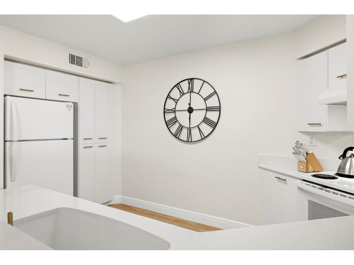 6131 Bahia Del Mar Blvd #240 Saint Petersburg FL 33715 TB8369520 image27