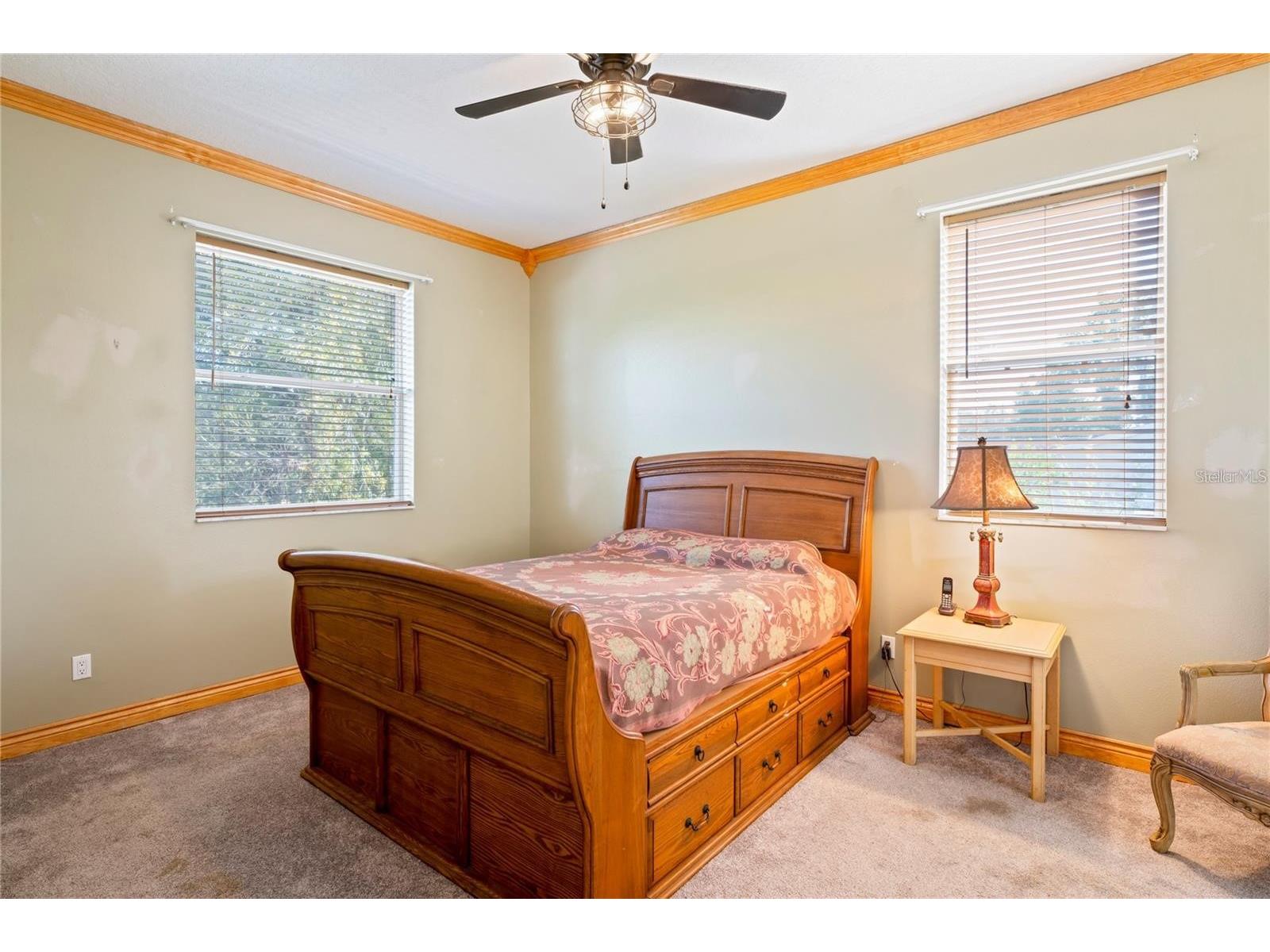 6131 Central Avenue New Port Richey FL 34653 W7882770 image17