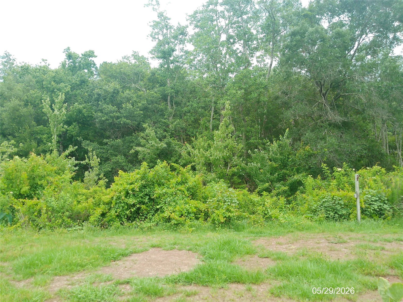 6131 Doe Circle E Lakeland FL 33809 L4962454 image23